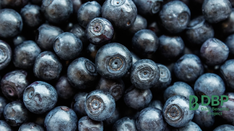 Antioxidants in Blueberries for Blood Sugar Control Close-up of fresh blueberries rich in antioxidants that help regulate blood sugar