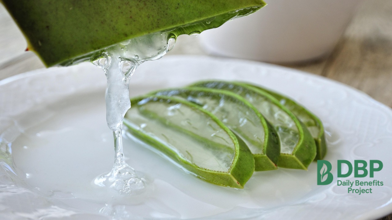 Pure Aloe Vera Gel Slice Aloe vera gel dripping from sliced leaves onto a plate
