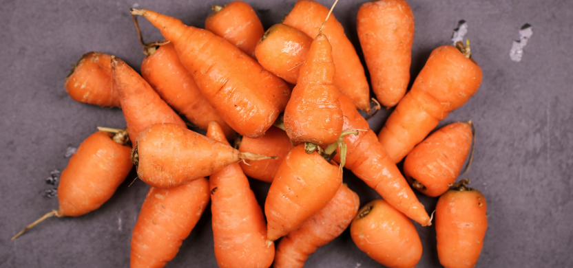 Carrots symbolizing better eyesight
