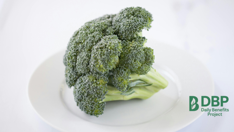 Fresh Broccoli on White Plate A fresh head of broccoli served on a white ceramic plate