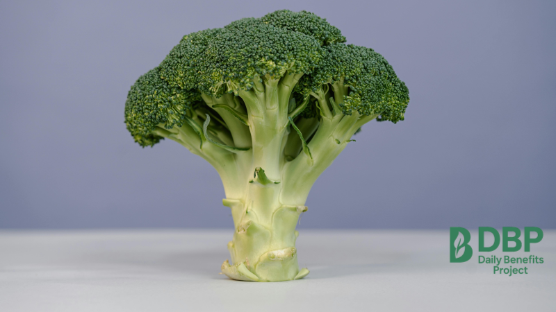Single Broccoli Floret on Purple Background A single head of broccoli standing upright on light purple surface