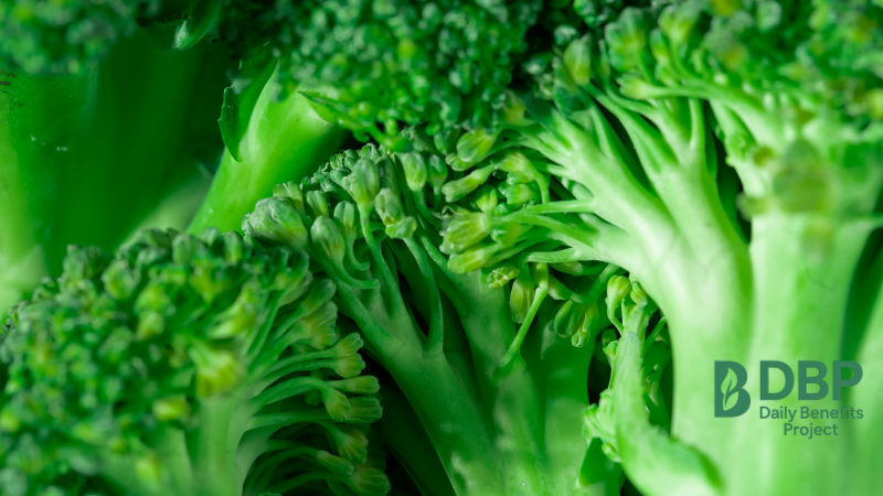 Close-Up of Broccoli Texture Macro shot showing fresh and detailed texture of broccoli florets