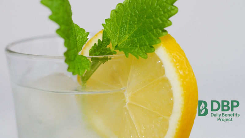 Minty Lemon Water in a Clear Glass Lemon slice with mint leaves in a glass of water