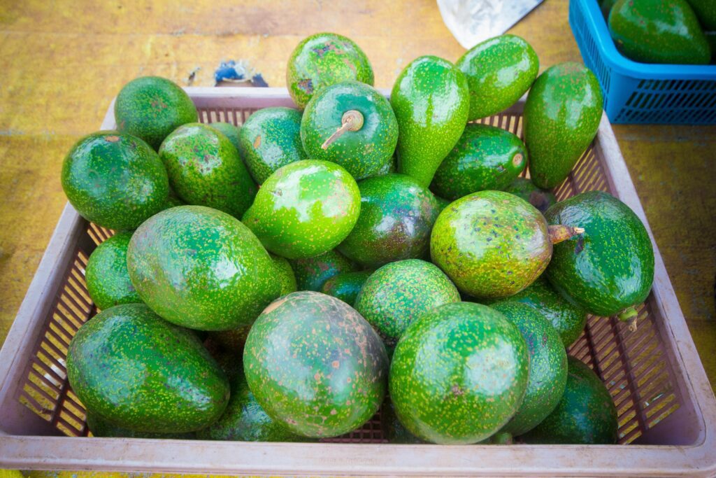 Basket of ripe avocados at market