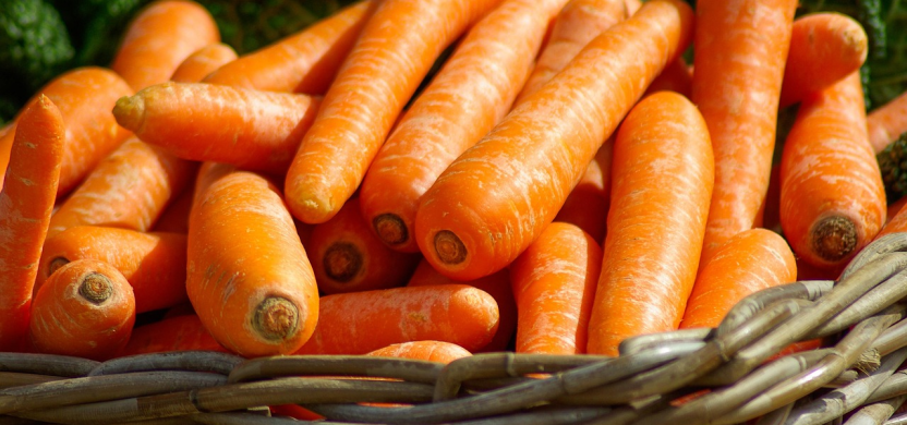 Fresh carrots symbolising British nutrition