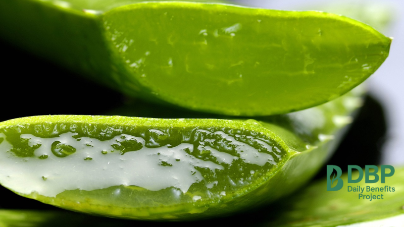 sliced-aloe-vera-gel-closeup-dbp.png Close-up of sliced aloe vera showing clear gel