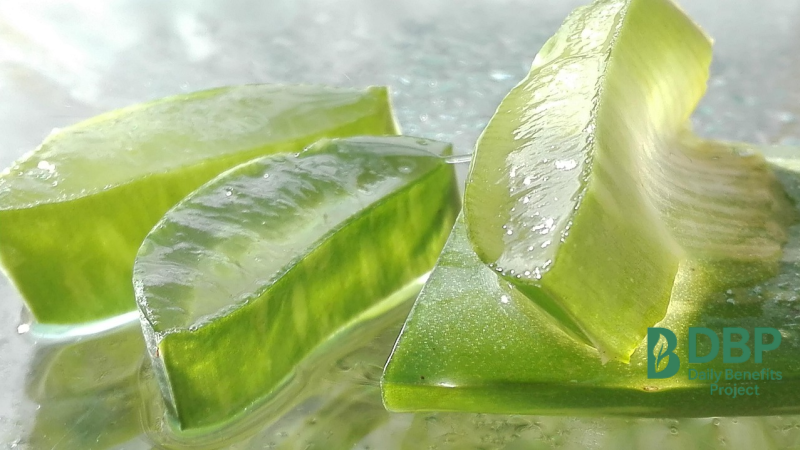 fresh-cut-aloe-vera-gel-pieces-glass-table-dbp.png Aloe vera gel slices on a reflective surface