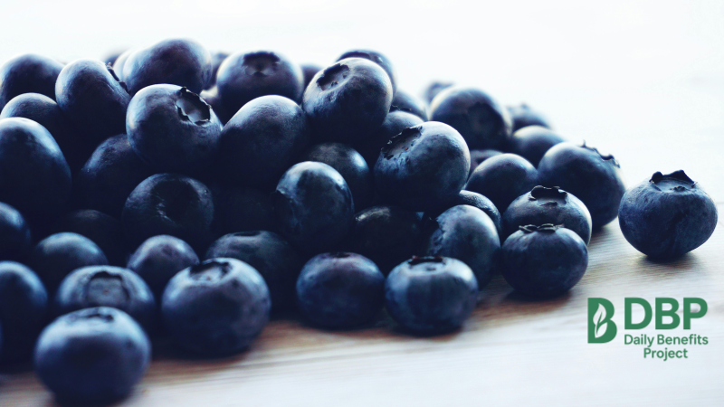 Fresh blueberries rich in flavonoids and antioxidants Blueberries help reduce inflammation and support respiratory immunity